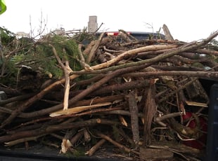Leaf Removal by Archie Lockwood for DeJanka O. in West Allis, WI