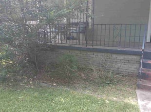 Bush Trimming by Jerome Borders for Megan A. in Memphis, TN