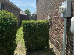 Bush Trimming by Liobardo Ortiz for Sharon J. in Forney, TX
