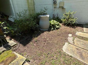 Weeding by Fidel Rodriguez for Emily B. in Springfield, VA