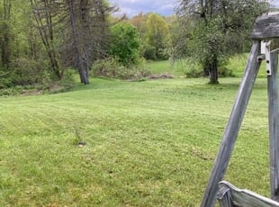 Iona D.'s Lawn Care service result