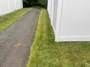 Cheryl C.'s Lawn Care service result
