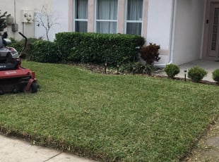 Bush Trimming by Marcelo Hernandez for DJ H. in Davenport, FL