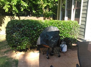 Bush Trimming by Adams Paiz for Christopher M. in Charlotte, NC