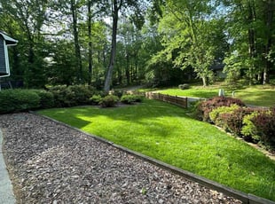 Denise C.'s Lawn Service service result