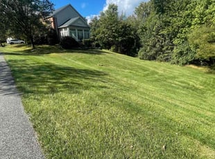 Mark P.'s Lawn Mowing Service service result