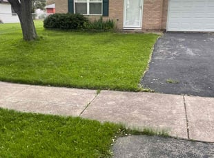 Arianne D.'s Lawn Care service result