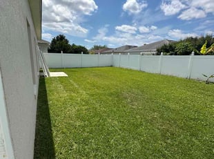 Jordan D.'s Lawn Mowing service result