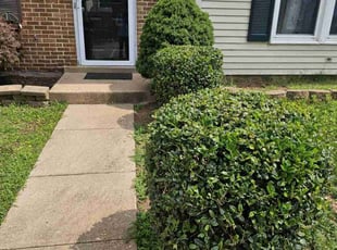 Bush Trimming by Rosemary Valle for Latesha C. in Manassas, VA