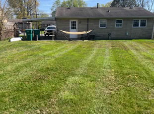 Dave M.'s Yard Cutting service result