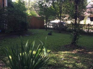 Bush Trimming by James Pilgreen for Jeffrey W. in New Orleans, LA