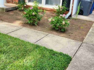 Cleanups by Gustavo Martinez for Andrea C. in Woodbridge, VA