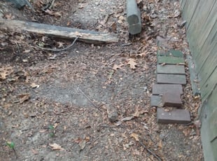 Leaf Removal by Bernard Frampton for Robert J. in Edgewood, MD