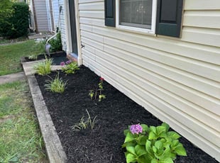 Cleanups by Robert Hatton for Julie S. in Fredericksburg, VA