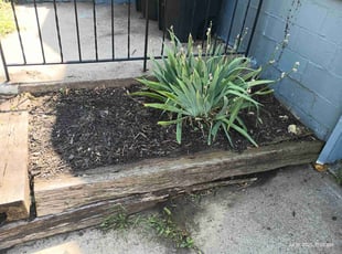 Weeding by Lamonee Jackman for Jared D. in Omaha, NE