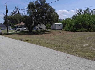 Leaf Removal by Roseanne Gill for Ernesto T. in Punta Gorda, FL