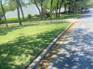 Lisa B.'s Lawn Mowing Service service result