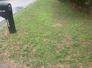Cleanups by Hunter Foster for Angela M. in Anderson, SC