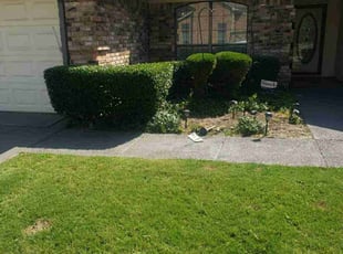Bush Trimming by Jeremy Jenkins for Marcus T. in Arlington, TX