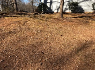 Leaf Removal by Nick Reaves for Cindy F. in Charlotte, NC