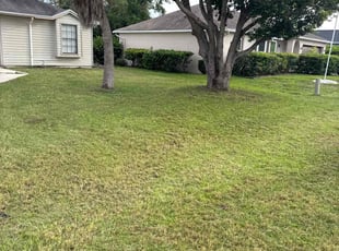 Cleanups by Pedro Ocasio for Carla M. in Kissimmee, FL