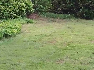 Cleanups by Eric Cotto for Diane L. in Norcross, GA