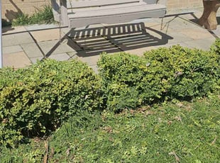 Bush Trimming by Robert Doedy for Aaron L. in Shorewood, WI