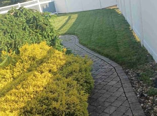 Marcella K.'s Lawn Mowing service result