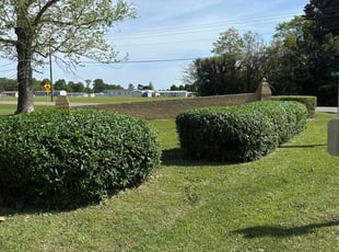 Jennifer C.'s Yard Cutting service result