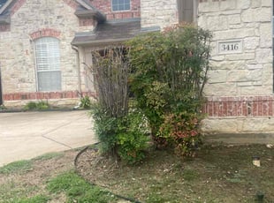 Bush Trimming by Gabriel Piedra for Porcia G. in Flower Mound, TX