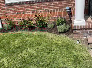 Weeding by Steve Valverde for Leah K. in Providence, RI
