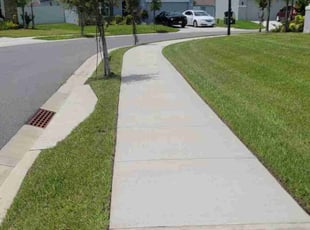 Iris M.'s Lawn Mowing service result