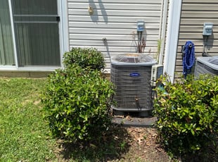 Bush Trimming by Stevo Lee for Gregory J. in Waldorf, MD