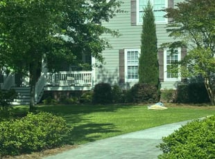 Bush Trimming by Walter Sandoval for Daniel F. in Mount Pleasant, SC