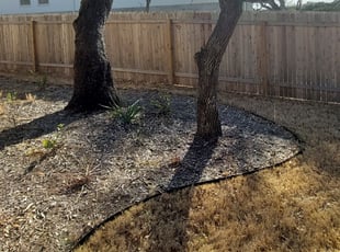 Cleanups by Rebecca Ferrara for Ryan J. in Bexar County, TX