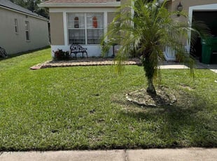 Vincent C.'s Lawn Maintenance service result