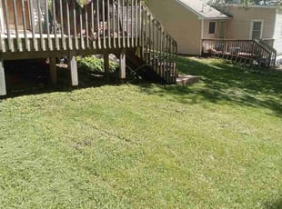 Paris N.'s Lawn Care service result