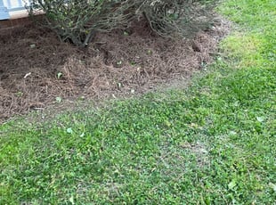 Mulching by Napolian Britt for Stephanie B. in Concord, NC