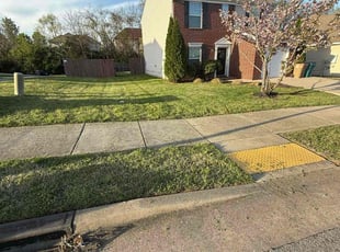 Brandon H.'s Lawn Care service result