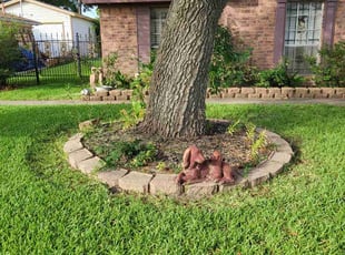 Weeding by Juan Murillo for Violet C. in Houston, TX