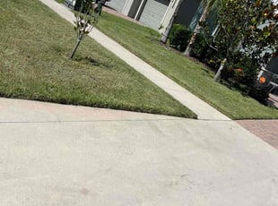 Cory C.'s Lawn Service service result