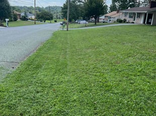 Richard V.'s Yard Cutting service result