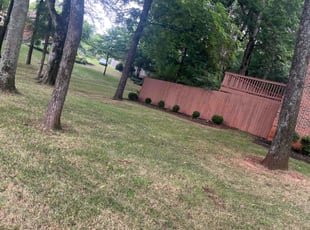Leaf Removal by Drayton Williams for Andrea H. in Madison, AL