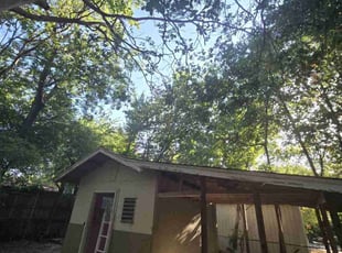 Cleanups by Michael Gill for Laura n. in Denton, TX