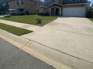 Michael T.'s Lawn Maintenance service result