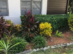 Weeding by Deon Louistal for Joyce L. in Sunrise, FL