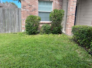Bush Trimming by Jason Gooding for Jason L. in Corpus Christi, TX