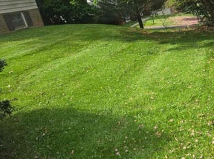 Sean p.'s Lawn Service service result