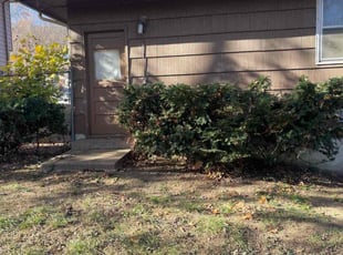 Bush Trimming by Harold Mabin Jr for Robert M. in Kansas City, MO
