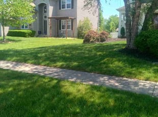 Deanna W.'s Lawn Service service result